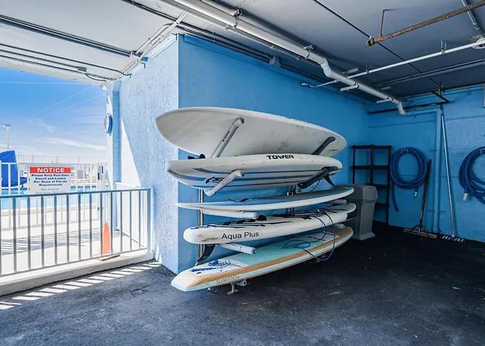 Dollar 109 Apartment